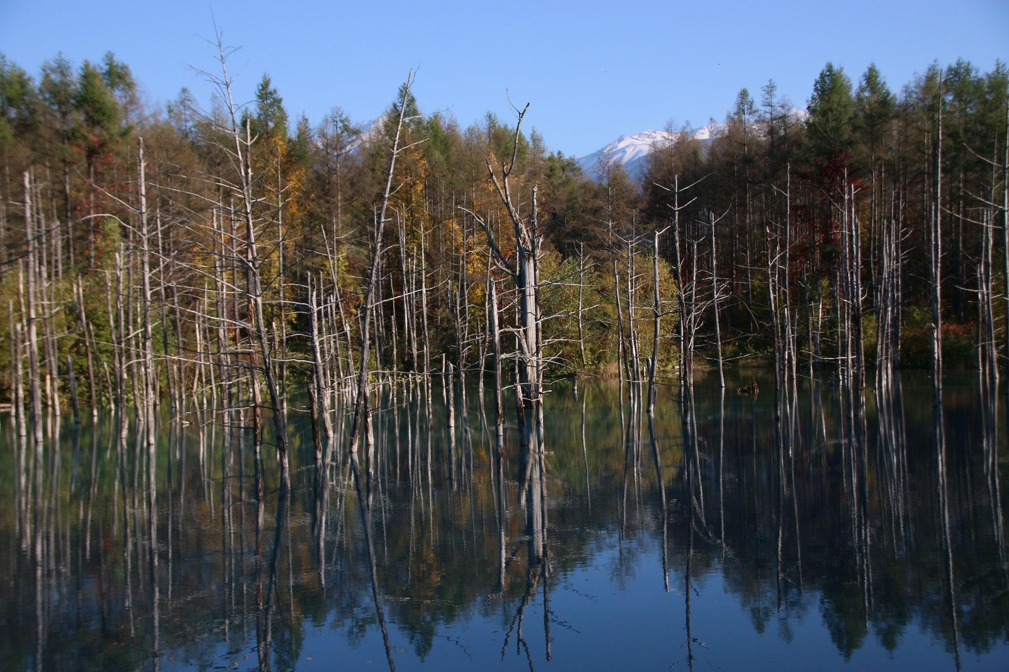 Furano Shiyuirin Hotel Kamifurano Kültér fotó