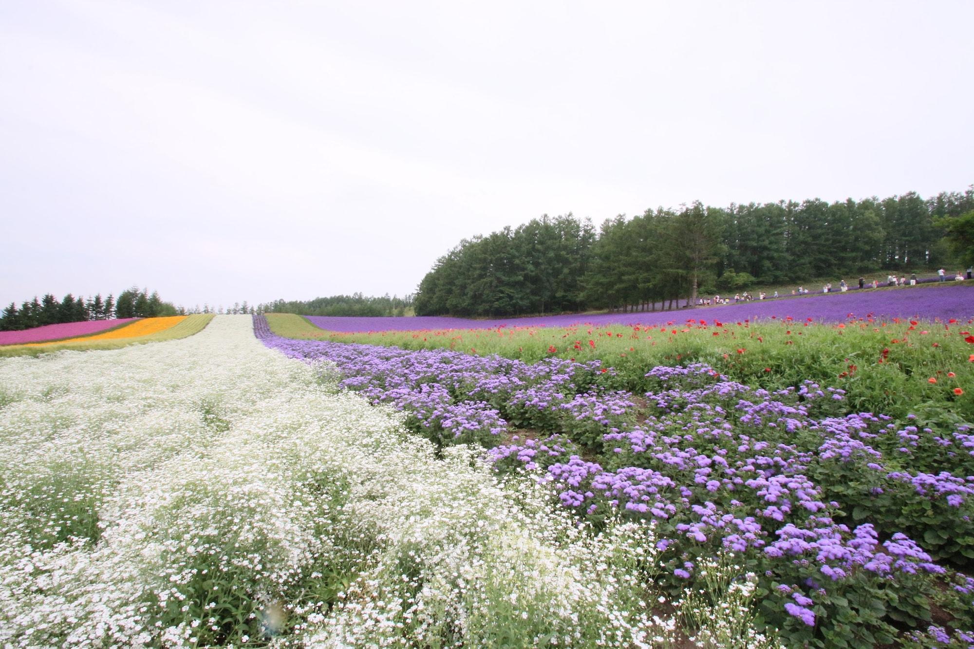 Furano Shiyuirin Hotel Kamifurano Kültér fotó
