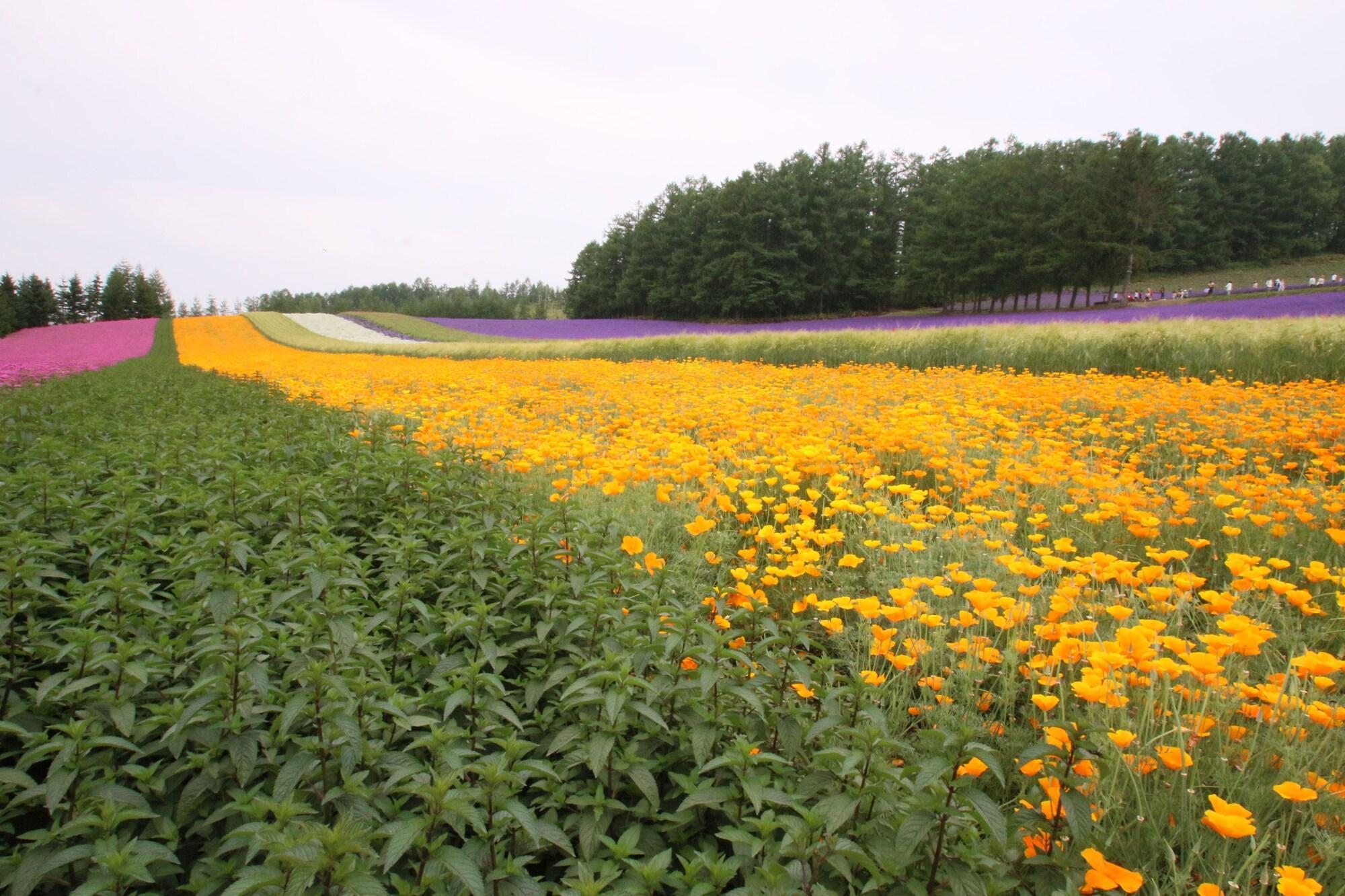Furano Shiyuirin Hotel Kamifurano Kültér fotó