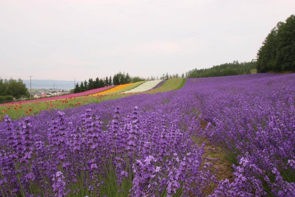 Furano Shiyuirin Hotel Kamifurano Kültér fotó